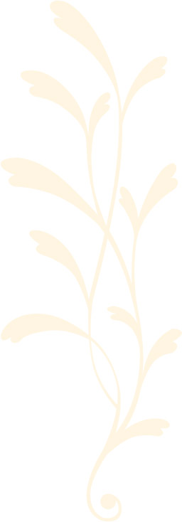 装飾
